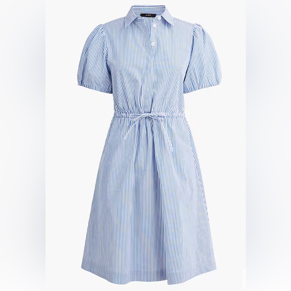 NWT J Crew Factory dress